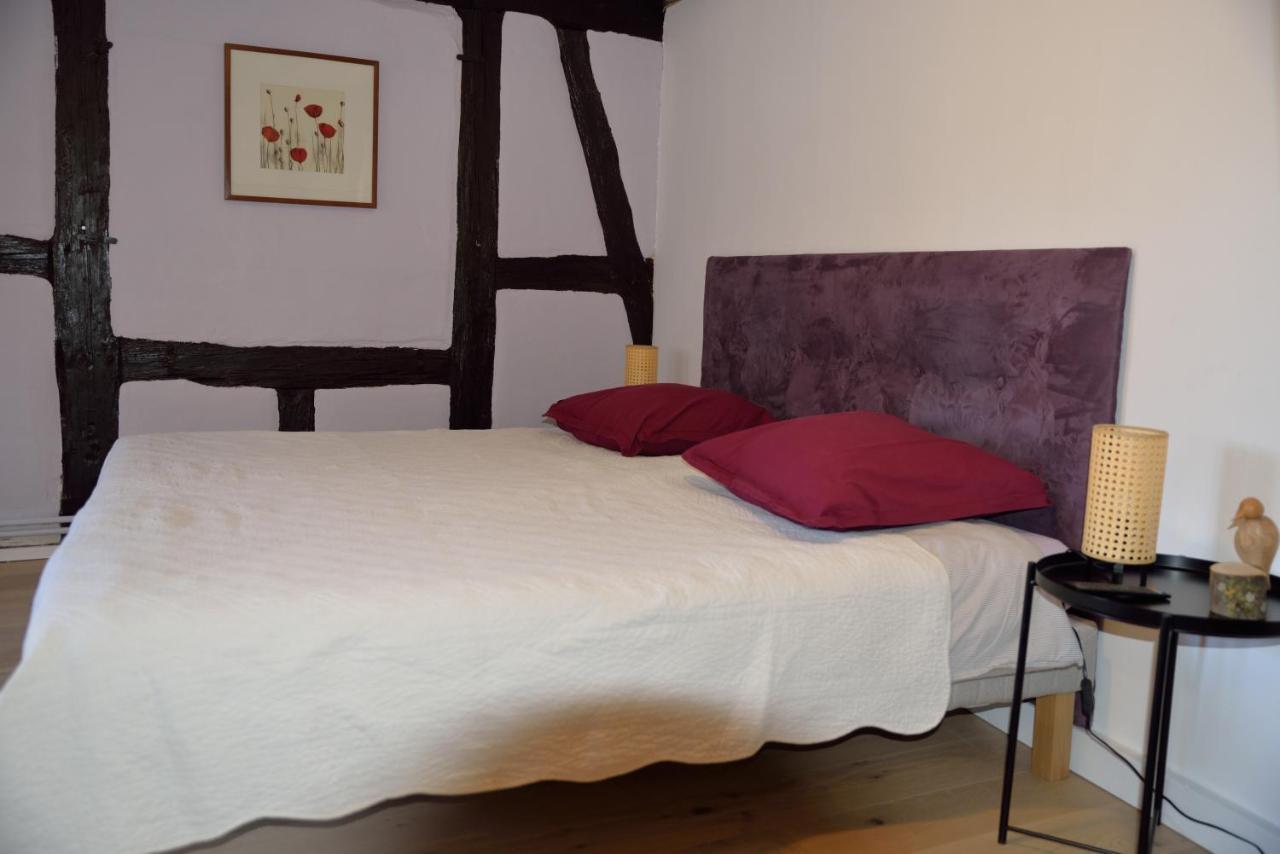 Chez Cecile Bed And Breakfast Chez Le Vigneron Colmar Exteriér fotografie